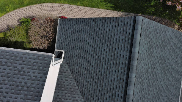 Best Roof Maintenance and Cleaning  in Neuse Forest, NC